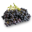 Picture of Blueberry™ Grapes