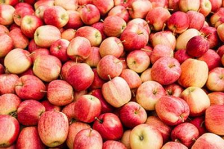 Picture for category Apples