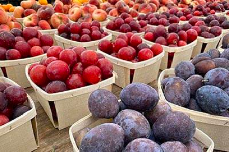 Picture for category Stone Fruit