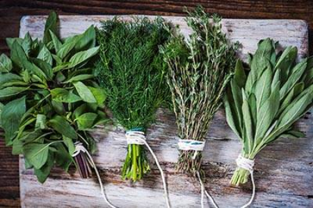 Picture for category Herbs