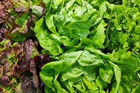 Picture for category Lettuce & Greens