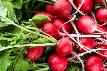 Picture for category Radishes